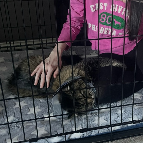 ‘Sally’ Rain Jacket by Burberry - Picture 11 of 16